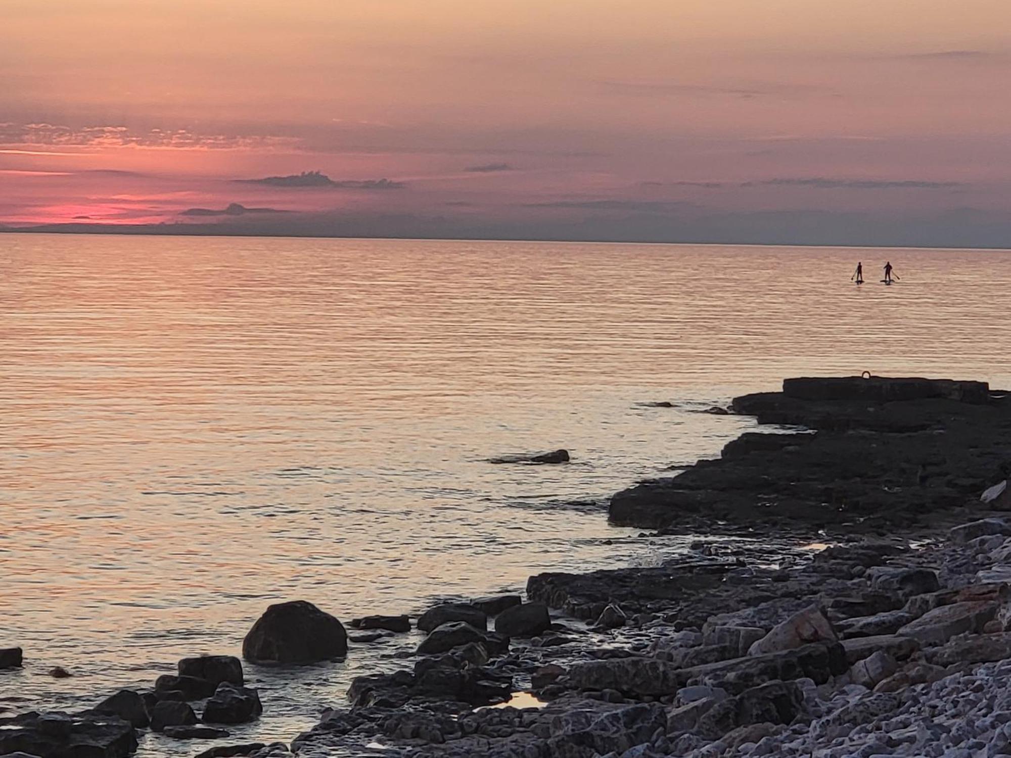 Villa Amore Radini Istrian Romantic Studio With Private Parking And Terrace ブルトニグラ エクステリア 写真